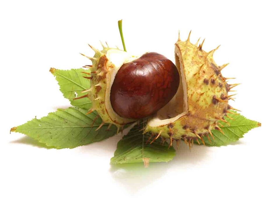 ZXCVBNMQwert -cream contains horse chestnut extracts